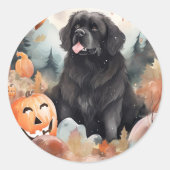 Sticker Rond Halloween Terre-Neuve avec la peur Citrouille (Devant)