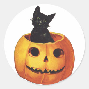 Sticker Rond Halloween vintage, Chat noir mignon dans un Citrou
