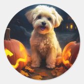 Sticker Rond Halloween Yorkipoo Avec La Peur Citrouille (Devant)