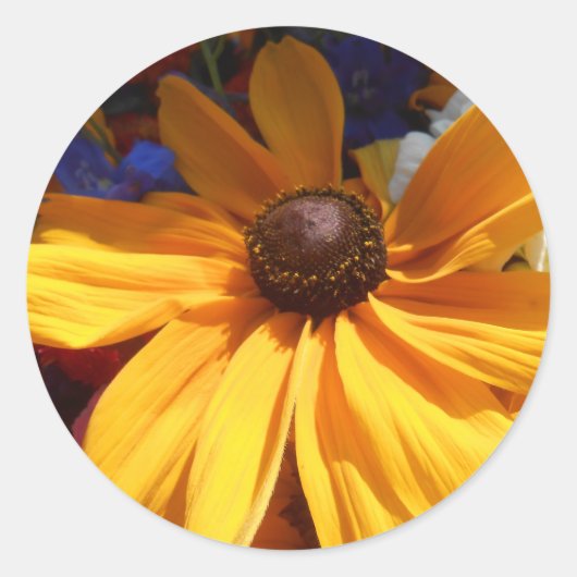 Sticker Rond Halte (Devant)