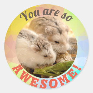 Sticker Rond HammyVille - Joli Hamster Vous êtes tellement géni