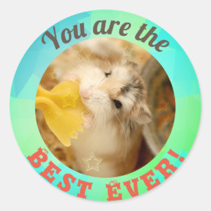 Sticker Rond HammyVille - Joli Hamster Vous êtes tellement géni
