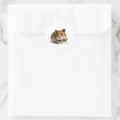 Sticker Rond Hamster (Sac)