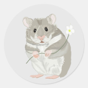 Sticker Rond Hamster gris et blanc mignon tenant une fleur