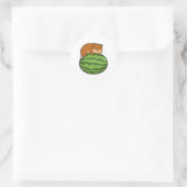 Sticker Rond Hamster with Watermelon (Sac)