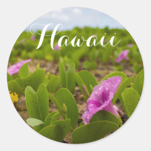 Sticker Rond Hanalei Bay, Kauai Morning Glory Purple Flower