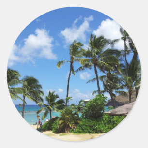 Sticker Rond Hanauma Bay Hawaii Cocotiers