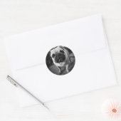 Sticker Rond Handsome pug (Enveloppe)
