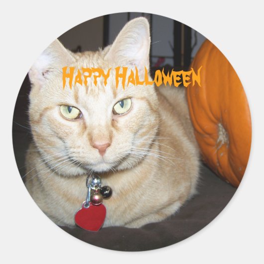 Sticker Rond Happy Halloween Tabby Chat orange avec Citrouille (Devant)