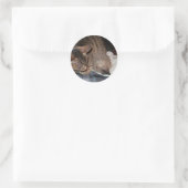 Sticker Rond Harold l'autocollant de hérisson (Sac)