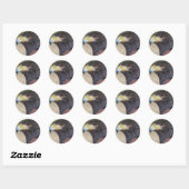 Sticker Rond Harris Hawk-cp (Feuille)