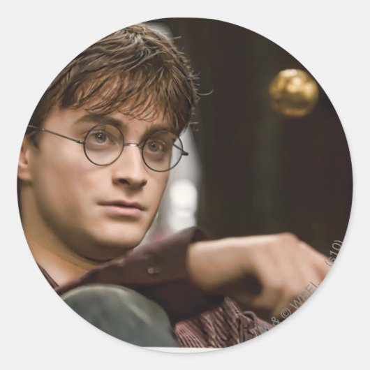 Sticker Rond Harry Potter 17 (Devant)
