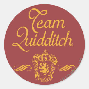 Sticker Rond Harry Potter   Équipe QUIDDITCH™