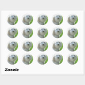 Sticker Rond Havanais (Feuille)