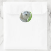 Sticker Rond Havanais (Sac)