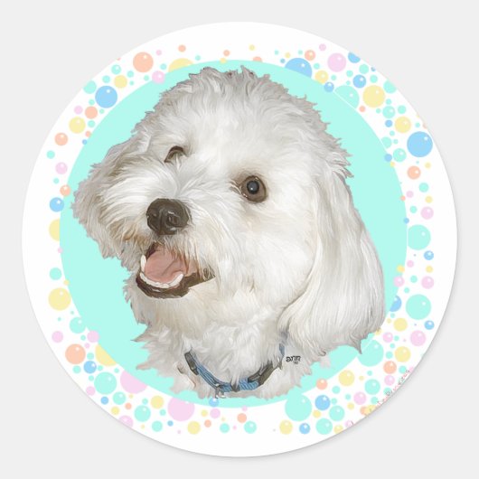 Sticker Rond Havanais Heureux (Devant)