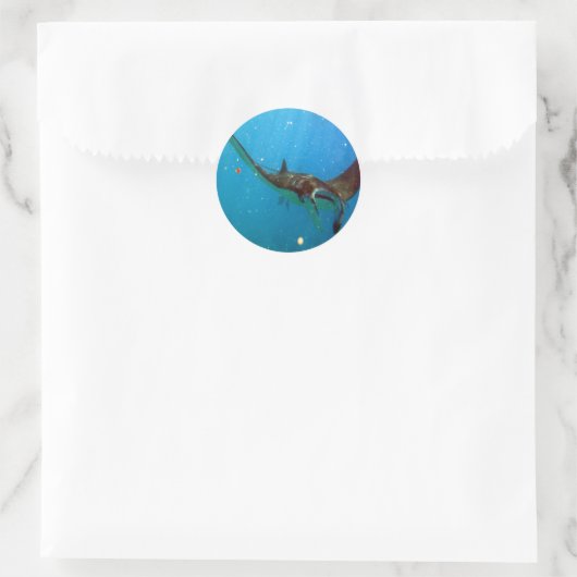 Sticker Rond Hawaii Manta Ray (Sac)