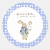 Sticker Rond Hearthlight Notes Spring Soft Meadow Gingham (Devant)