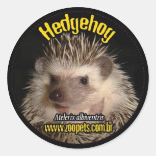 Sticker Rond hedgehog