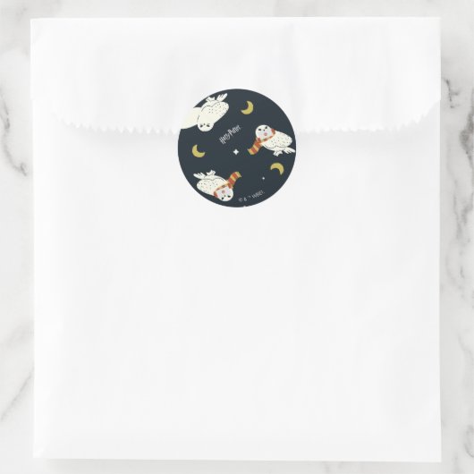 Sticker Rond Hedwig Nighttime Moonlight Pattern (Sac)