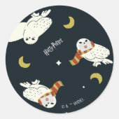 Sticker Rond Hedwig Nighttime Moonlight Pattern (Devant)