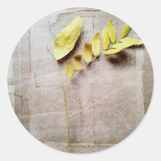 Sticker Rond Herbarium V (Devant)