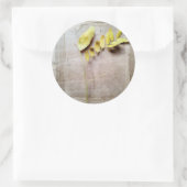 Sticker Rond Herbarium V (Sac)