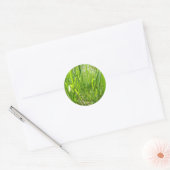 Sticker Rond Herbe (Enveloppe)