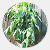 Sticker Rond Herbe botanique Boho feuille rustique Bois-grange (Devant)