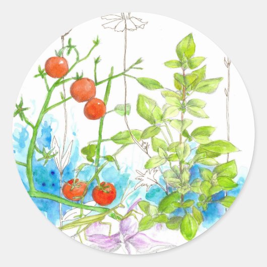 Sticker Rond Herbe de tomate Jardin Légumes Aquarelle (Devant)
