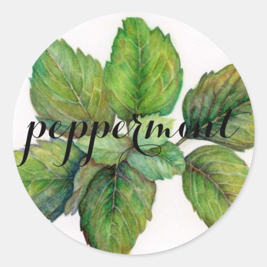 Sticker Rond Herbe : menthe poivrée (Devant)