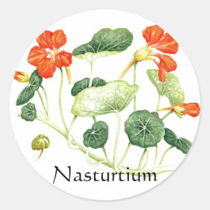 Sticker Rond Herbe - Série de jardins - Nasturtium