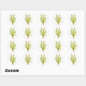 Sticker Rond Herbes de thym Herbes botaniques (Feuille)