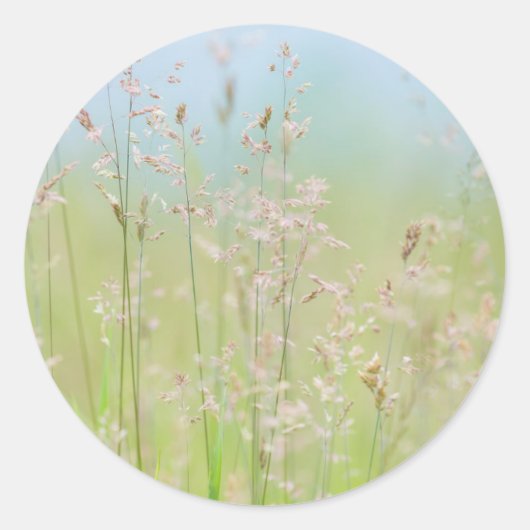 Sticker Rond Herbes en mouvement (Devant)