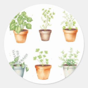 Sticker Rond Herbes en pot à l'aquarelle sur fond crème
