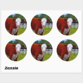 STICKER ROND HEREFORD HEIFER COW ART (Feuille)