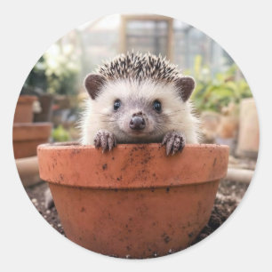 Sticker Rond Hérisson dans un pot de fleurs en argile