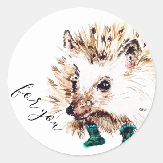 Sticker Rond Hérisson en chaussettes (Devant)