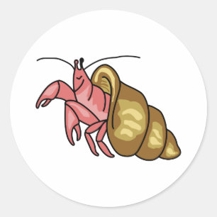 STICKER ROND HERMIT CRAB