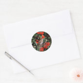 Sticker Rond Hermite Thrush (Enveloppe)