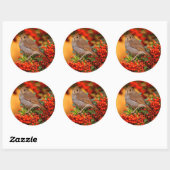 Sticker Rond Hermite Thrush Songbird sur l'araignée de feu (Feuille)