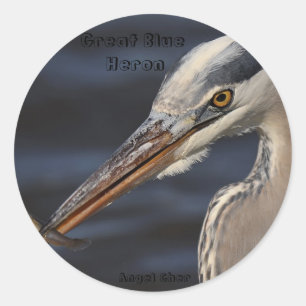 Sticker Rond Héron et vairon par ange Cher, grand héros bleu