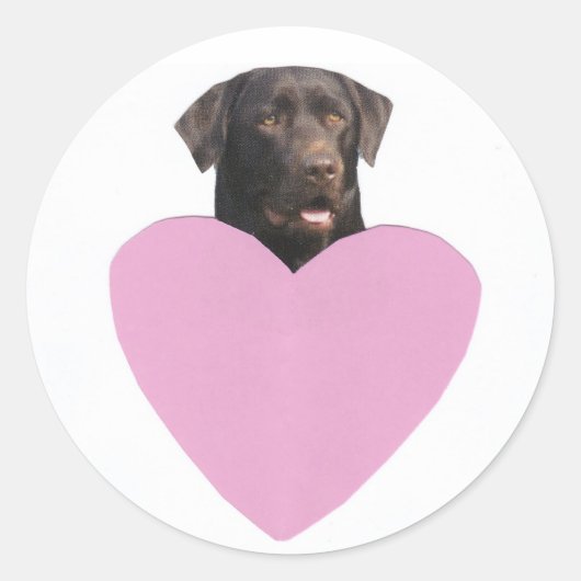 Sticker Rond Heureuse Sainte-Valentin Labrador Retriever (Devant)