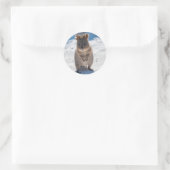 Sticker Rond Heureux Quokka sur la plage (Sac)