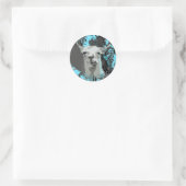 Sticker Rond hi-fi llama. (Sac)
