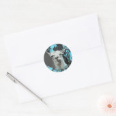 Sticker Rond hi-fi llama. (Enveloppe)