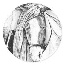 Hi-Point (gros plan)