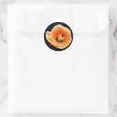 Sticker Rond Hibiscus (Sac)