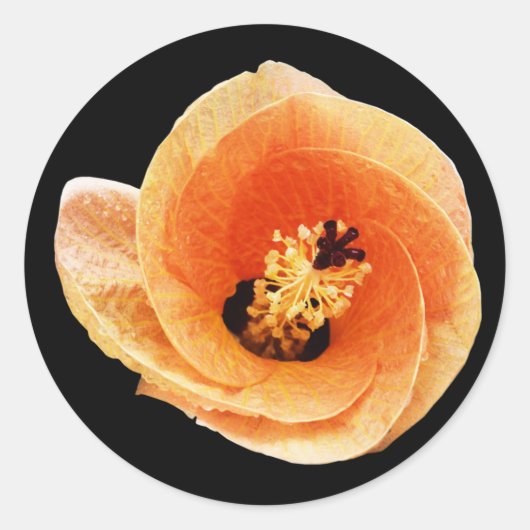 Sticker Rond Hibiscus (Devant)