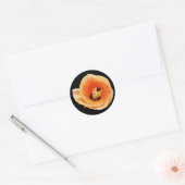 Sticker Rond Hibiscus (Enveloppe)